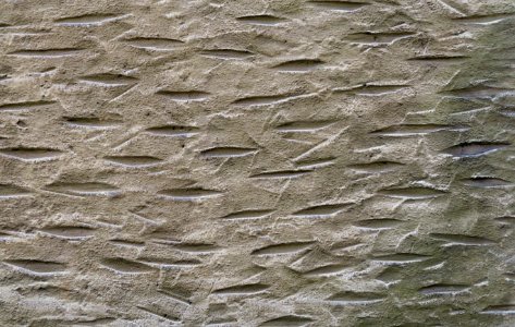 Wall Stone Carving Texture Geology