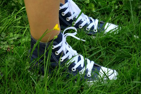 Footwear Shoe Grass Plant
