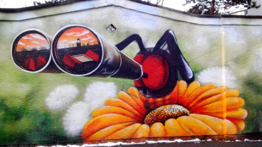 Art Street Art Mural Painting photo
