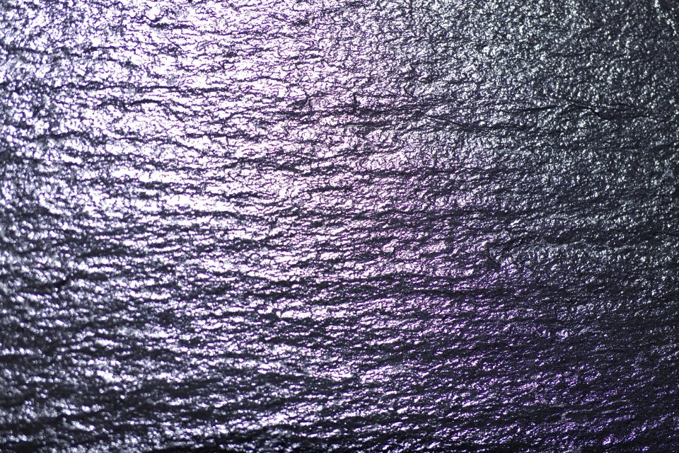 Water Sky Texture Tree