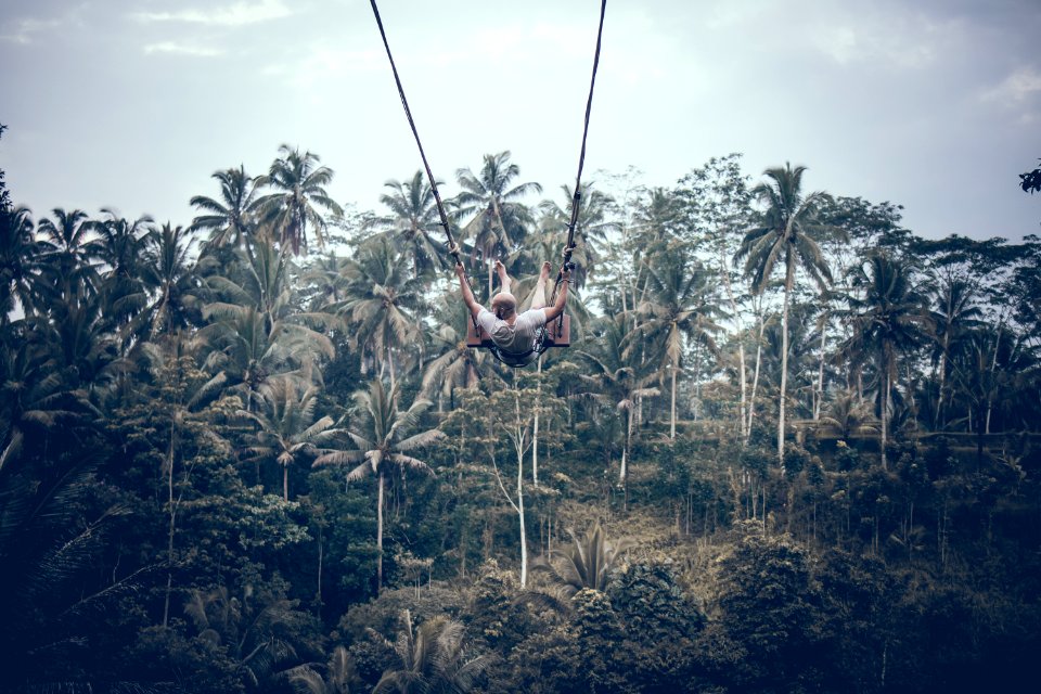 Person Wearing White Shirt Riding Gray Swing Background Of Trees