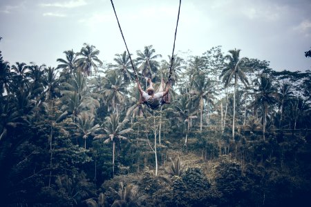 Person Wearing White Shirt Riding Gray Swing Background Of Trees