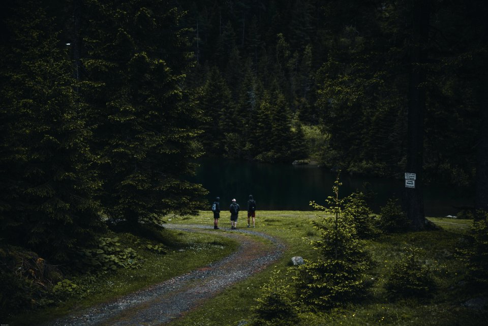 Photography Of People Walking On Dirt Road
