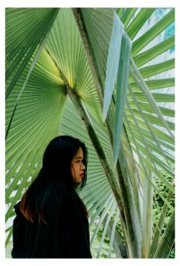 Woman In Front Of Green Leafed Tree photo