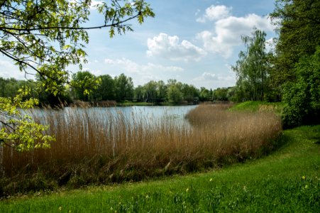 Nature Reserve Bank Vegetation Wetland photo