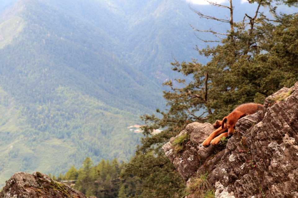 Wilderness Mountainous Landforms Ecosystem Mountain