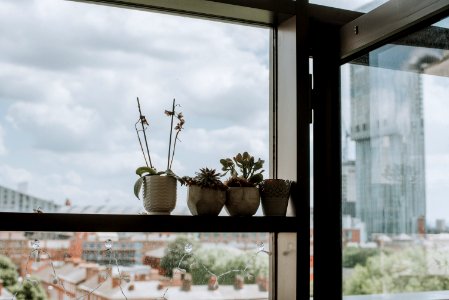 Four White Ceramic Pot On Clear Glass Window