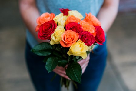 Person Holding Multicolored Petaled Flower Bouquet photo