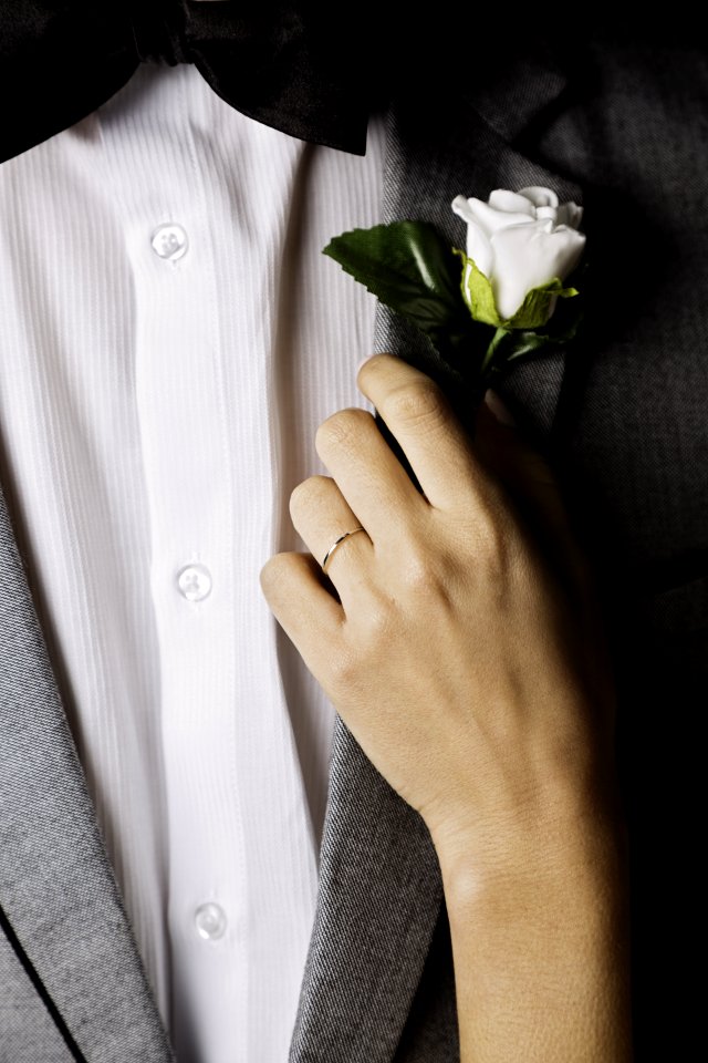 Person Holding White Rose
