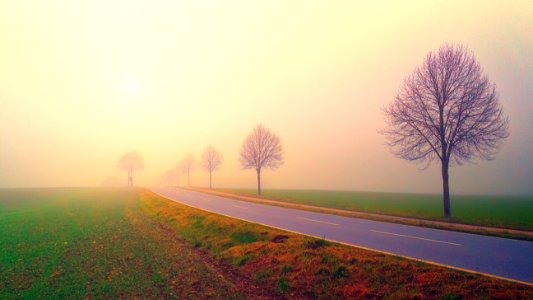Photo Of Road In The Middle Of Foggy Field