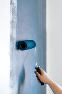 Blue Paint Roller photo
