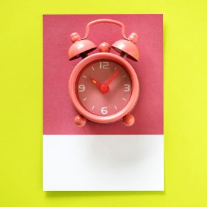 Pink Twin Bell Alarm Clock At 1006