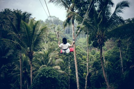 Woman Sitting On Swing