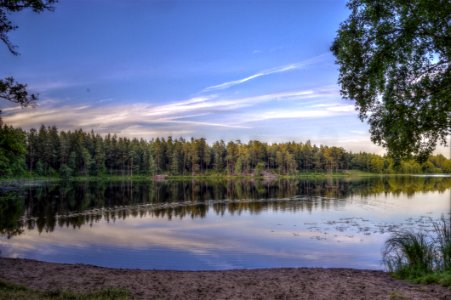 Scenic View Of River