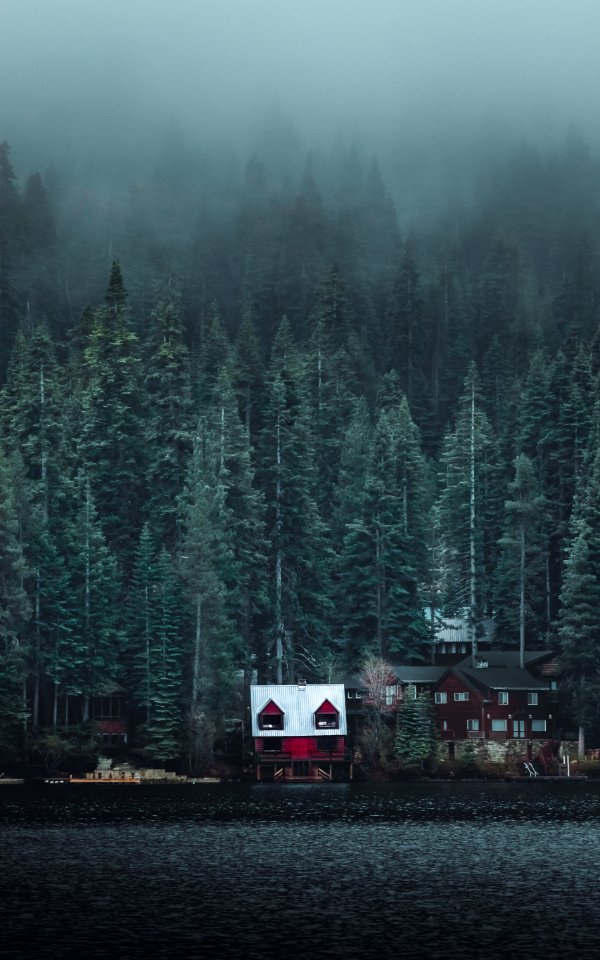 White And Red Wooden Cabin Near Forest