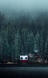 White And Red Wooden Cabin Near Forest