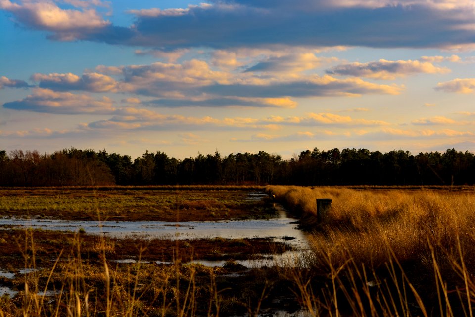 Reflection Wetland Sky Marsh