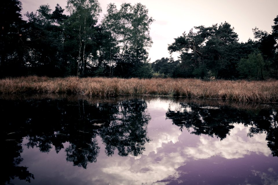 Reflection Water Nature Sky
