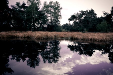 Reflection Water Nature Sky
