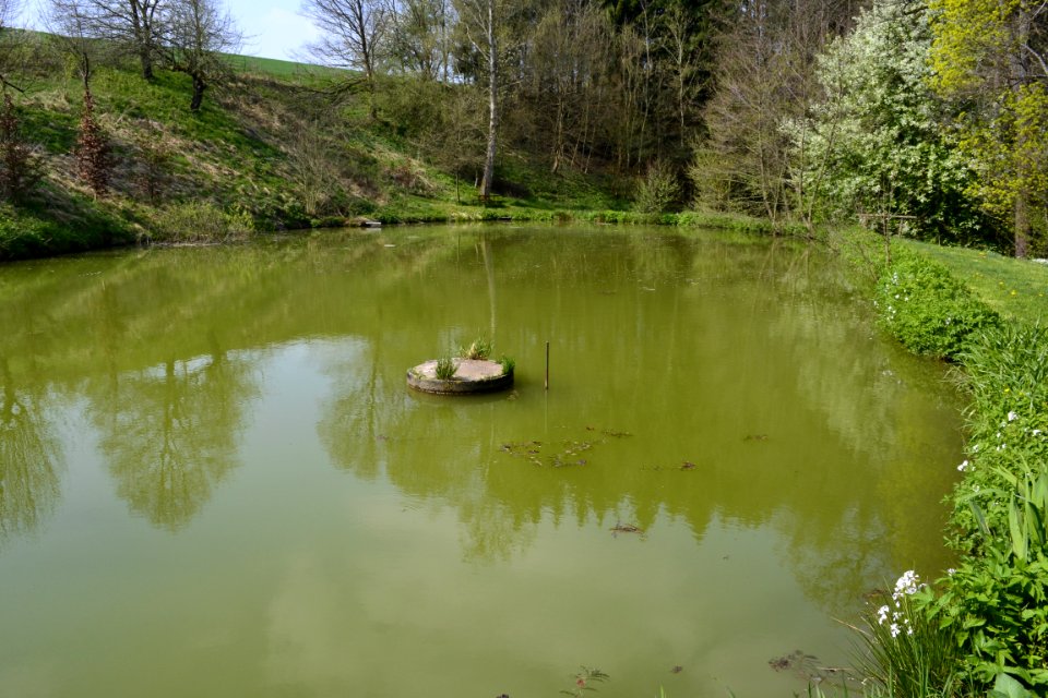 Water Body Of Water Waterway Nature Reserve