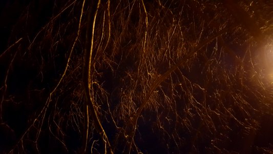 Darkness Light Atmosphere Night