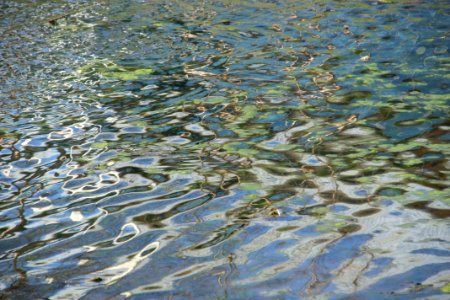 Water Water Resources Wetland River