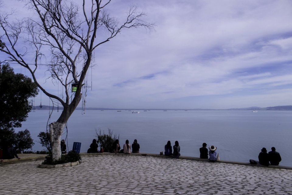 Sky Tree Shore Sea