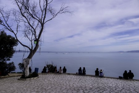 Sky Tree Shore Sea photo