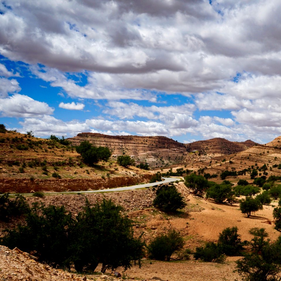 Sky Cloud Ecosystem Wilderness