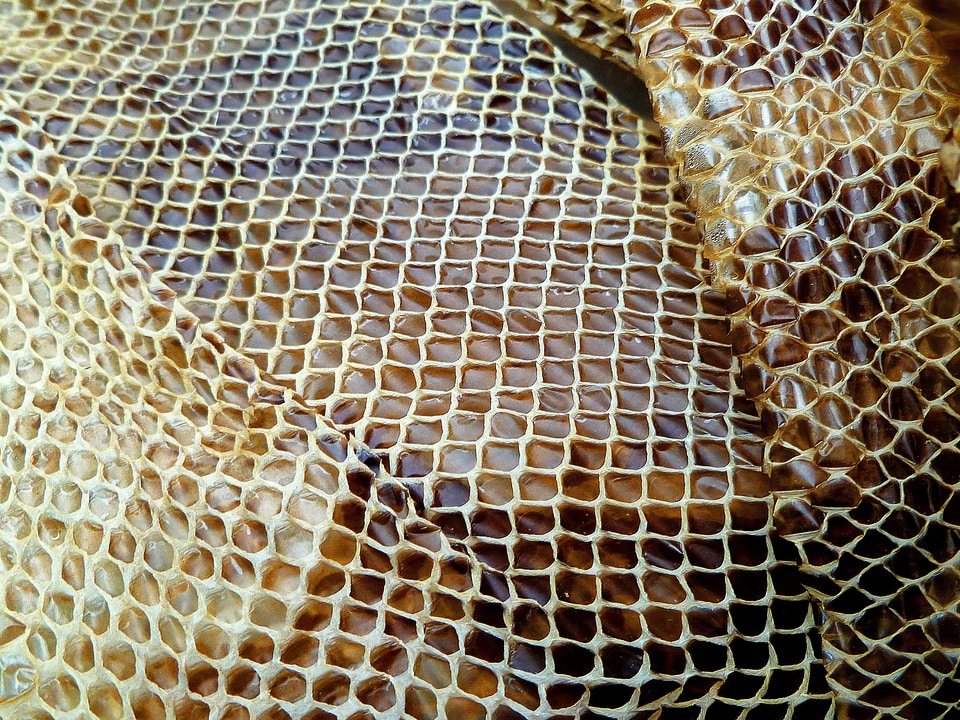 Dried shedding texture