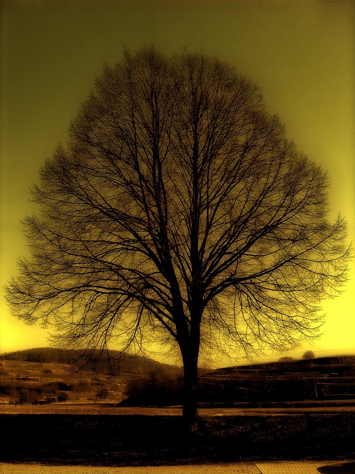 Atmosphere yellow solitary