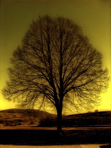 Atmosphere yellow solitary