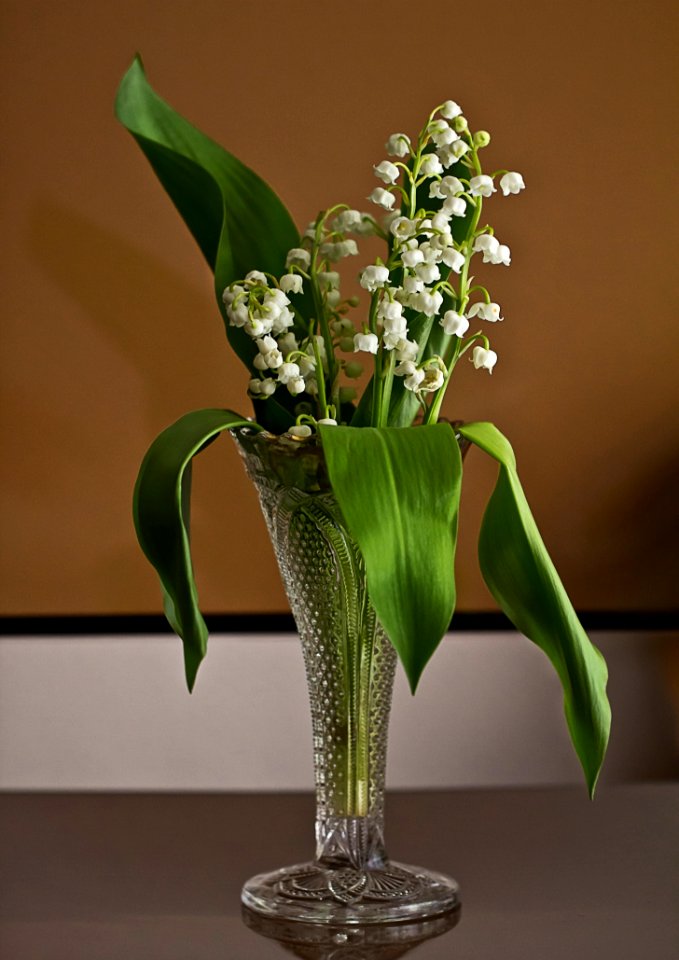 Plant Vase Floristry Flower Arranging photo