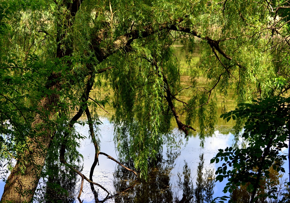 Green landscape mirror