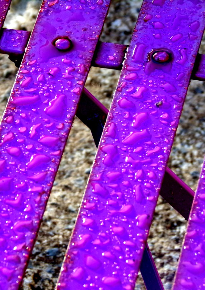 Purple Violet Pink Magenta