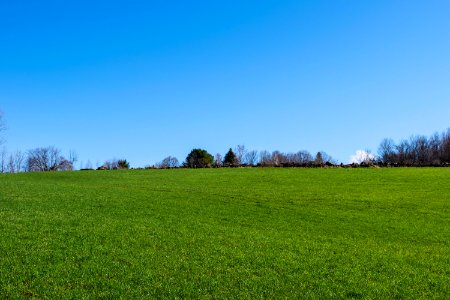 Sky Grassland Field Meadow