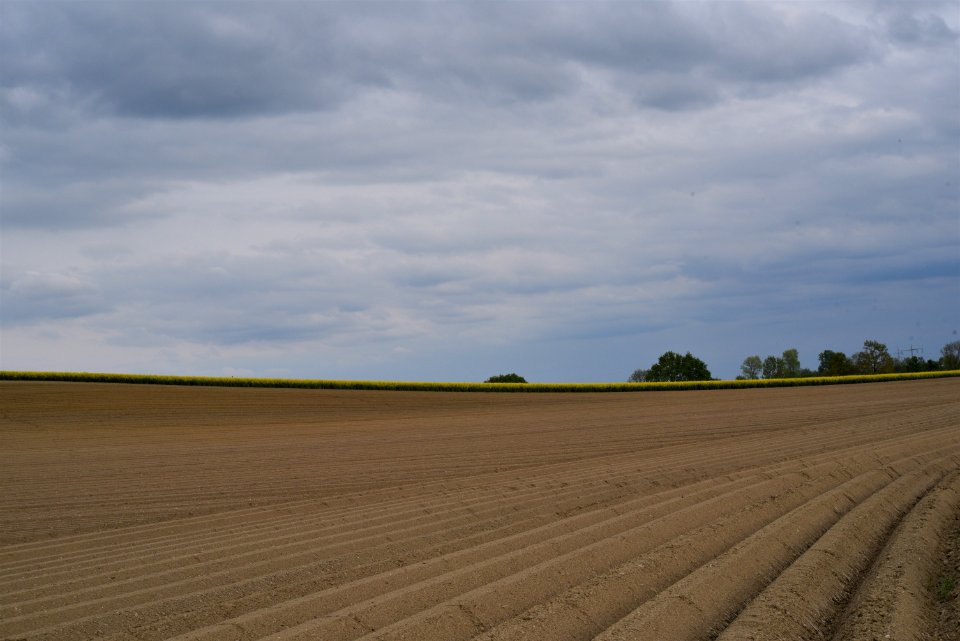 Field Sky Cloud Plain