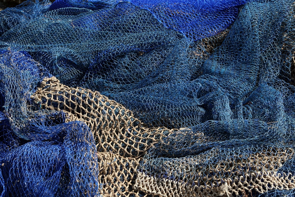 Fisheries blue port
