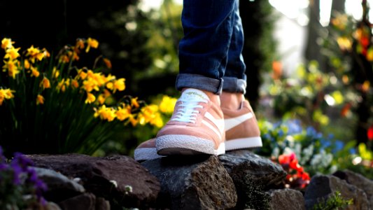 Person Wearing Pink Nike Low-top Sneakers Stepping On Stone Surrounded By Flower photo