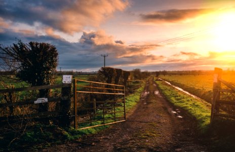 Brown Farm Gate And Green Grass Field photo