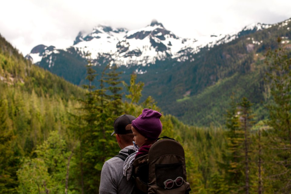 Man Carrying Baby With Brown Baby Carrier Near Trees photo