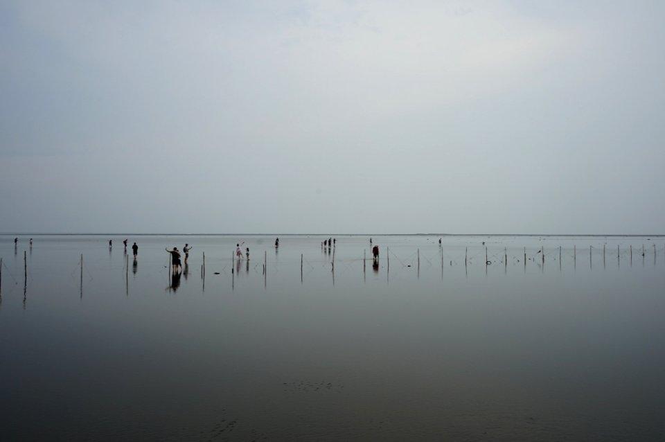 Fog Horizon Calm Sky