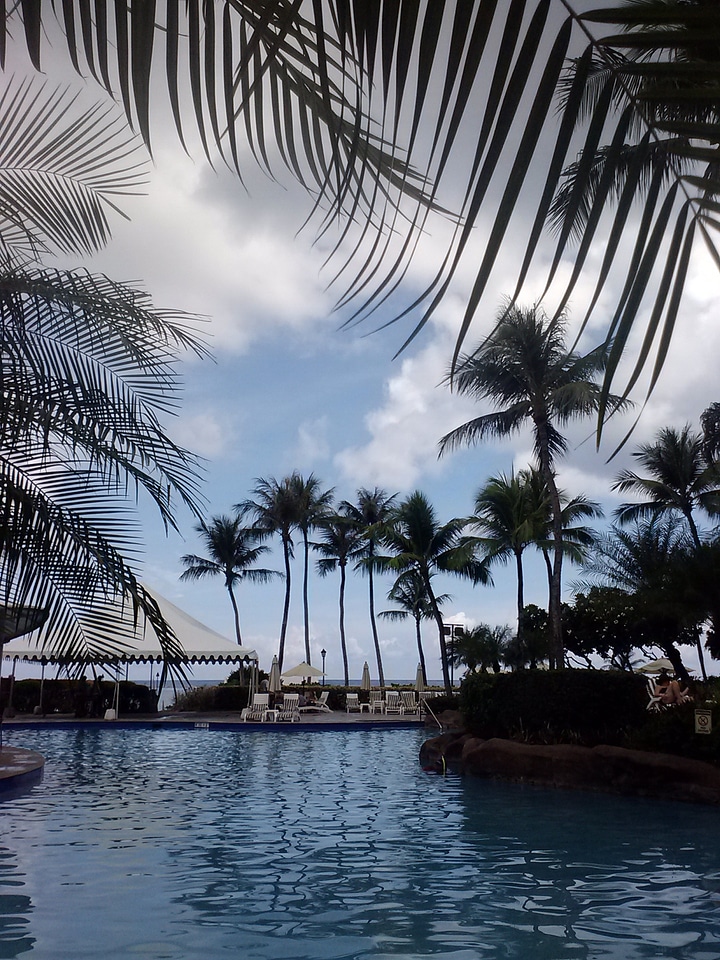 Palms guam swimming