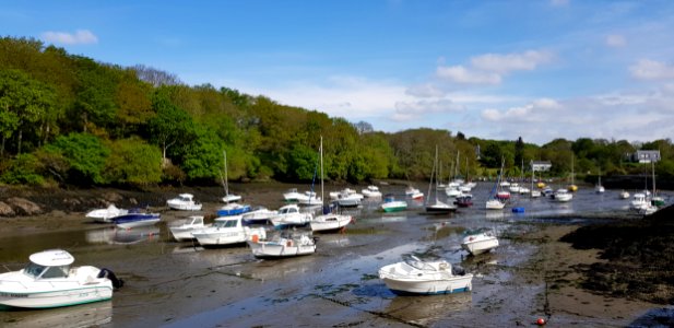 Waterway Water Marina Harbor