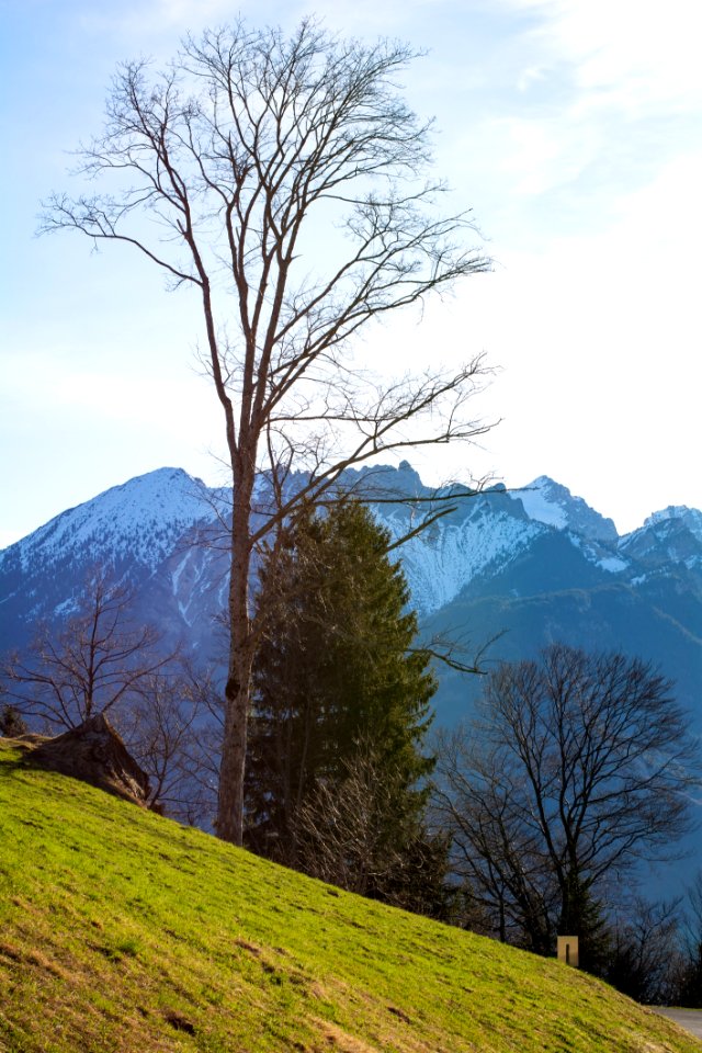 Mountainous Landforms Sky Tree Mountain