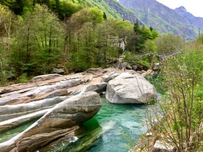 Nature Reserve Wilderness Stream Water