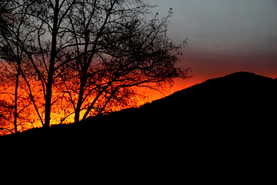 Sky Sunrise Tree Sunset