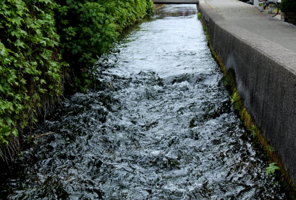 Water Water Resources Waterway Watercourse