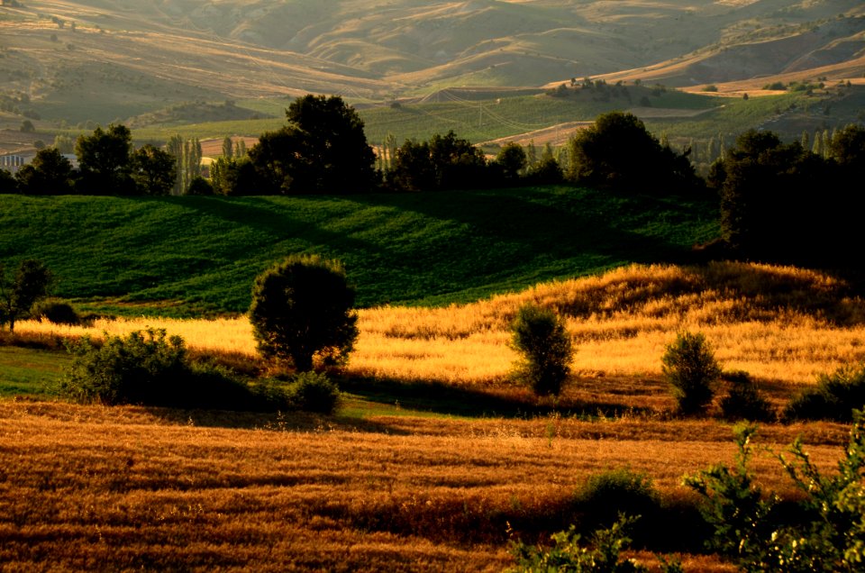 Grassland Field Sky Hill