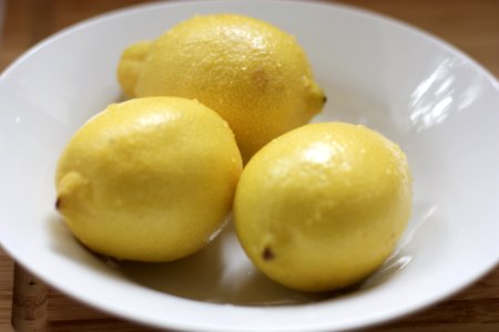 Food Dish